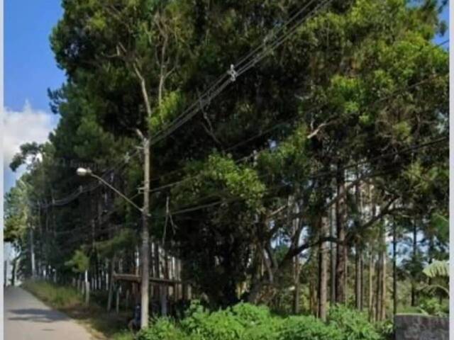 #TEGold3135 - Terreno para Venda em São Paulo - SP - 2