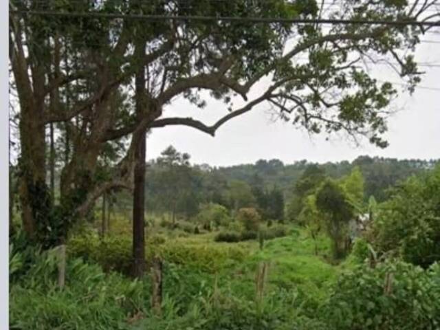 #TEGold3135 - Terreno para Venda em São Paulo - SP - 3