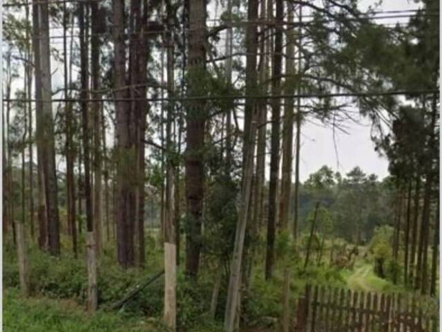 Terreno para Venda em São Paulo - 4
