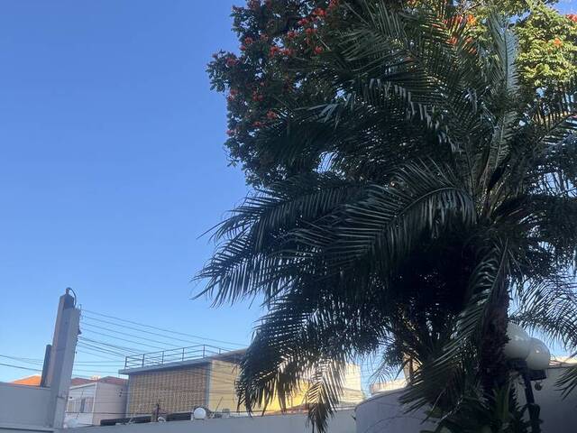 #APGold3173 - Apartamento para Locação em São Paulo - SP - 3