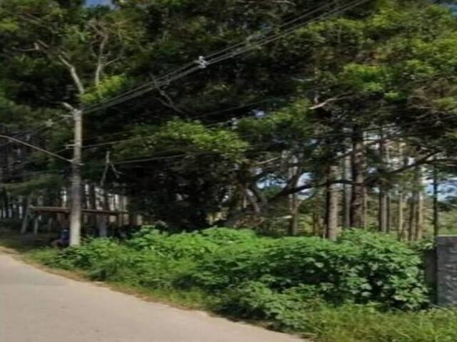 Venda em EMBU GUAÇU - São Paulo