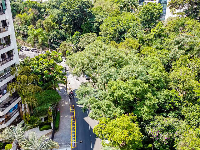 Apartamento para Venda em São Paulo - 3