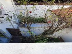 Sobrado para Locação em São Paulo - 4