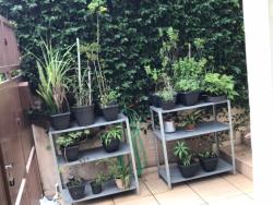 Sobrado para Venda em São Paulo - 2